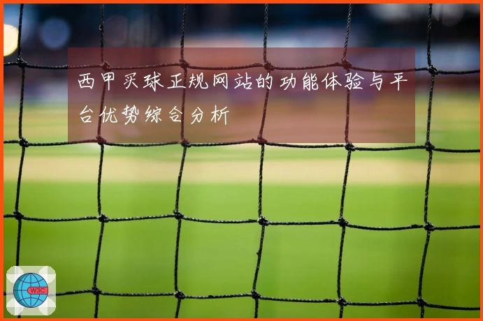 西甲买球正规网站的功能体验与平台优势综合分析