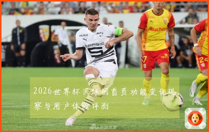 2026世界杯买球网首页功能变化观察与用户体验评测