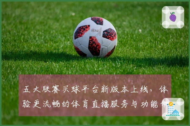 五大联赛买球平台新版本上线，体验更流畅的体育直播服务与功能介绍