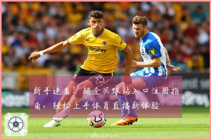 新手速看！超全买球站入口注册指南，轻松上手体育直播新体验